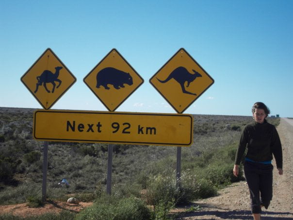 What I Learned About Business From Plants Vs Zombies |  Jen Bishop consulting best lead generation agency